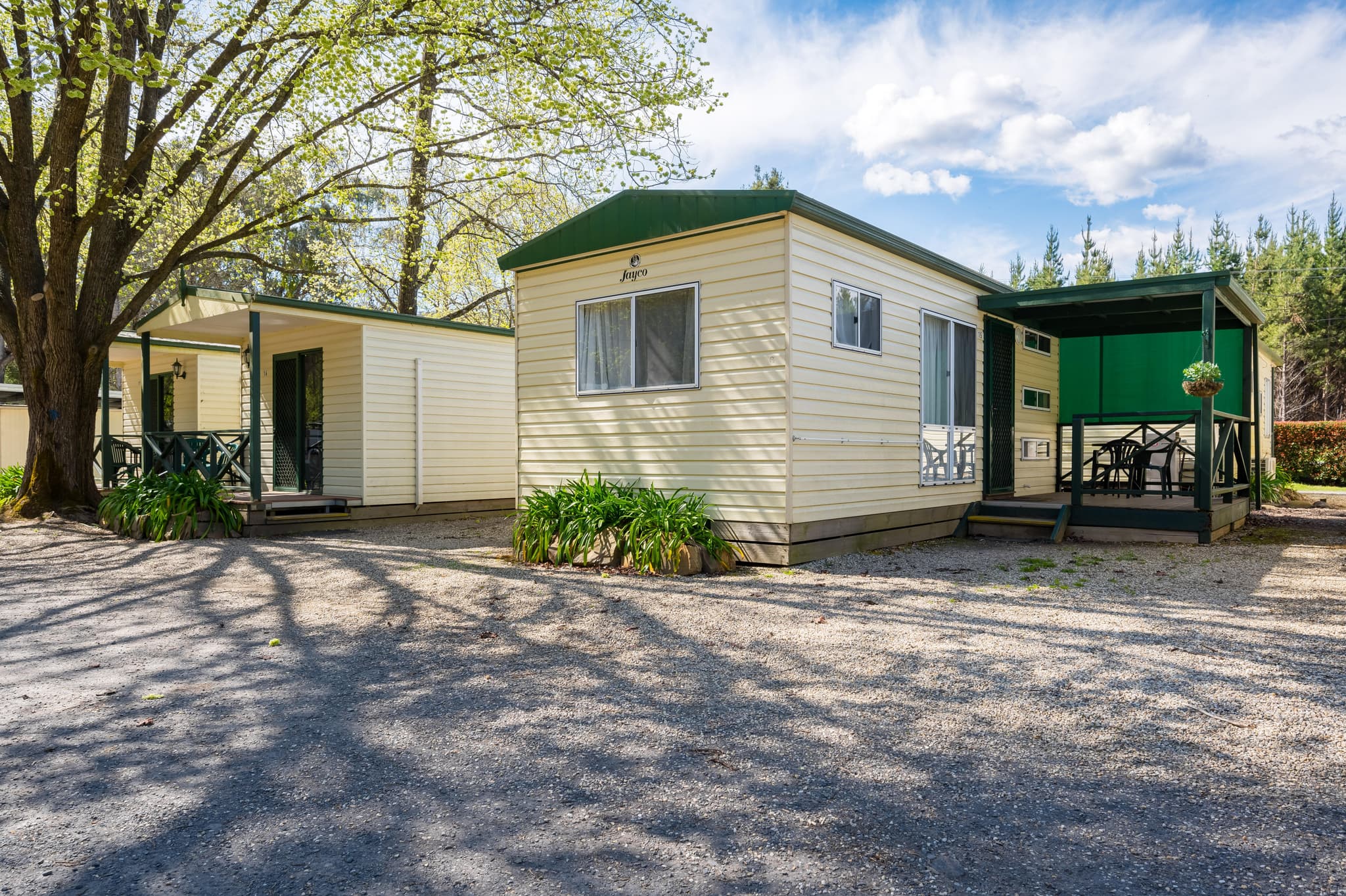 Buffalo Cabins