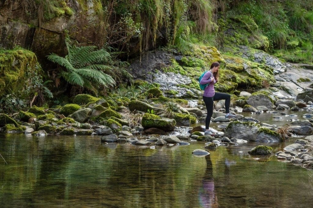 Hiking & Bushwalking, Bright