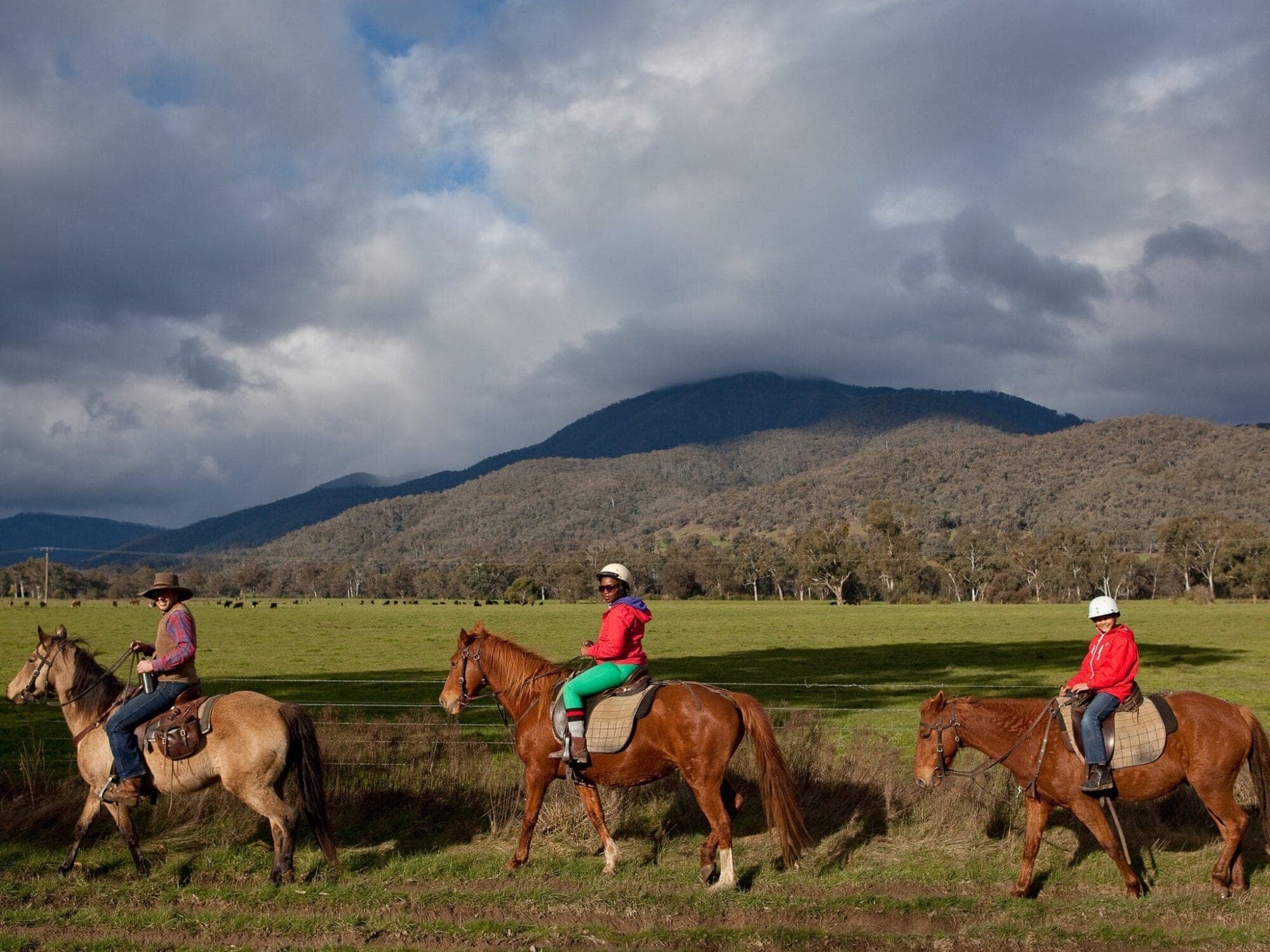 Horse Riding, High Country