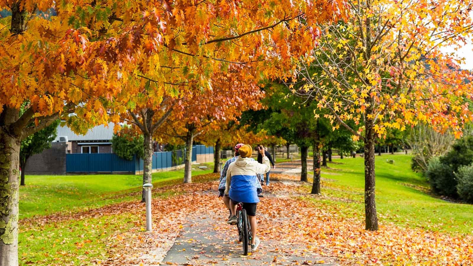 Autumn in Bright